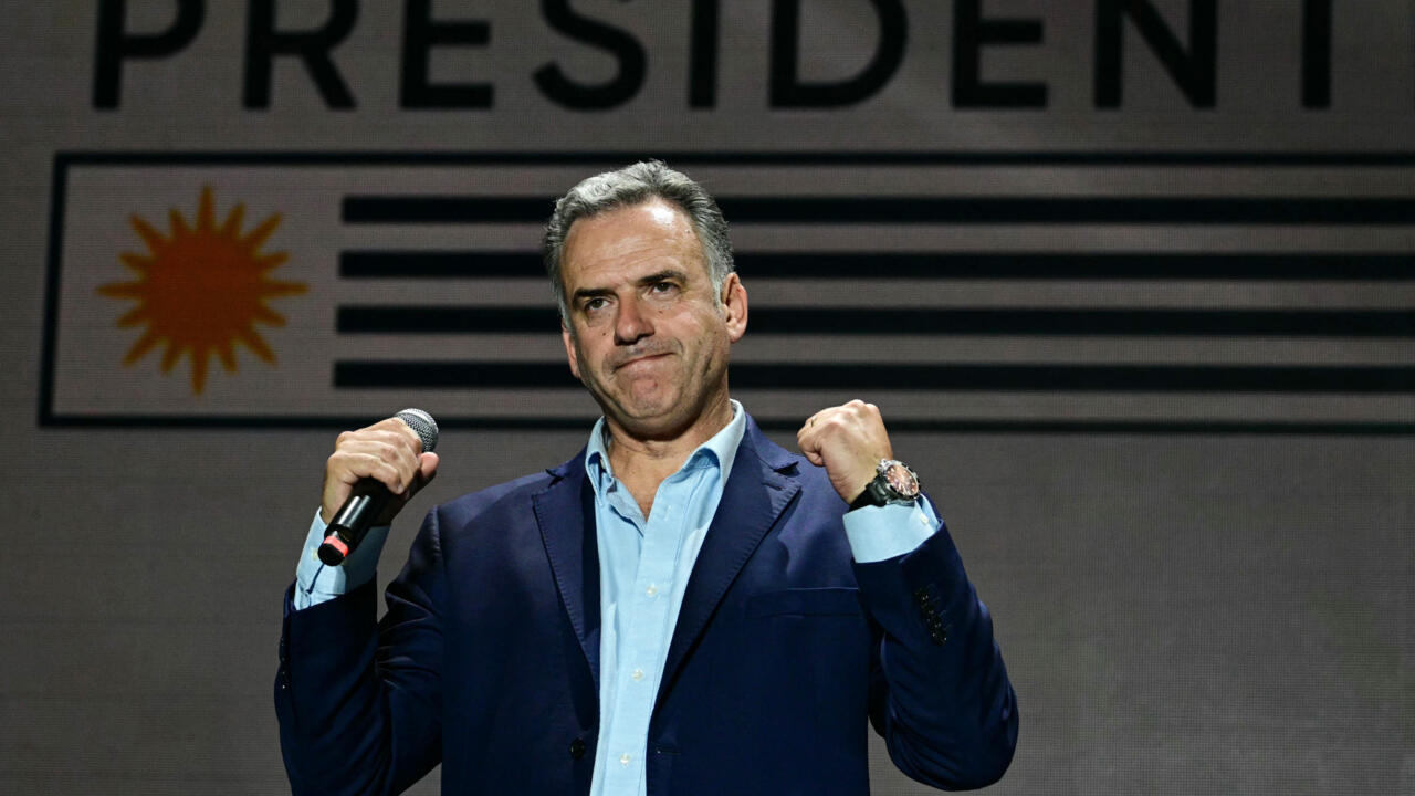 Fondo