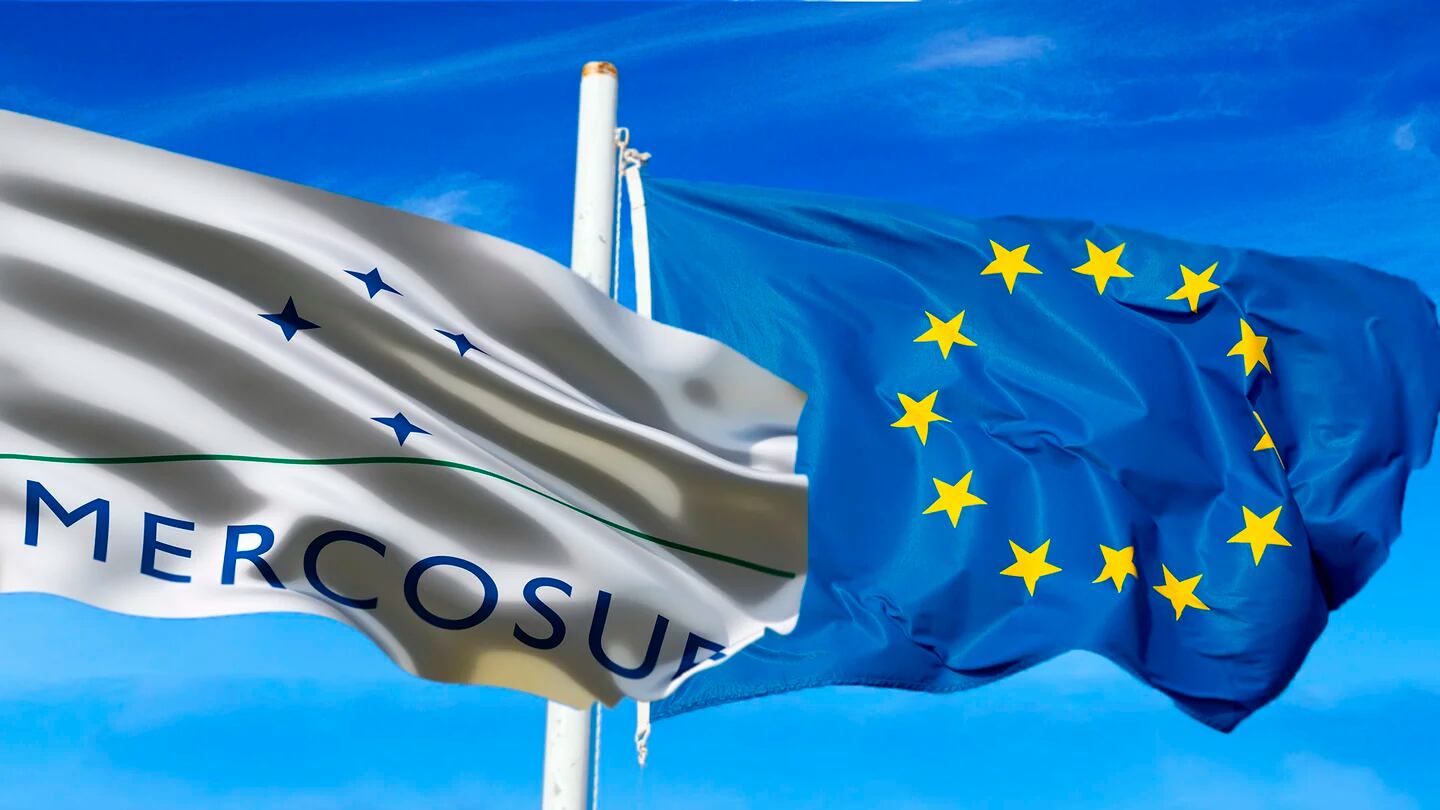 Fondo