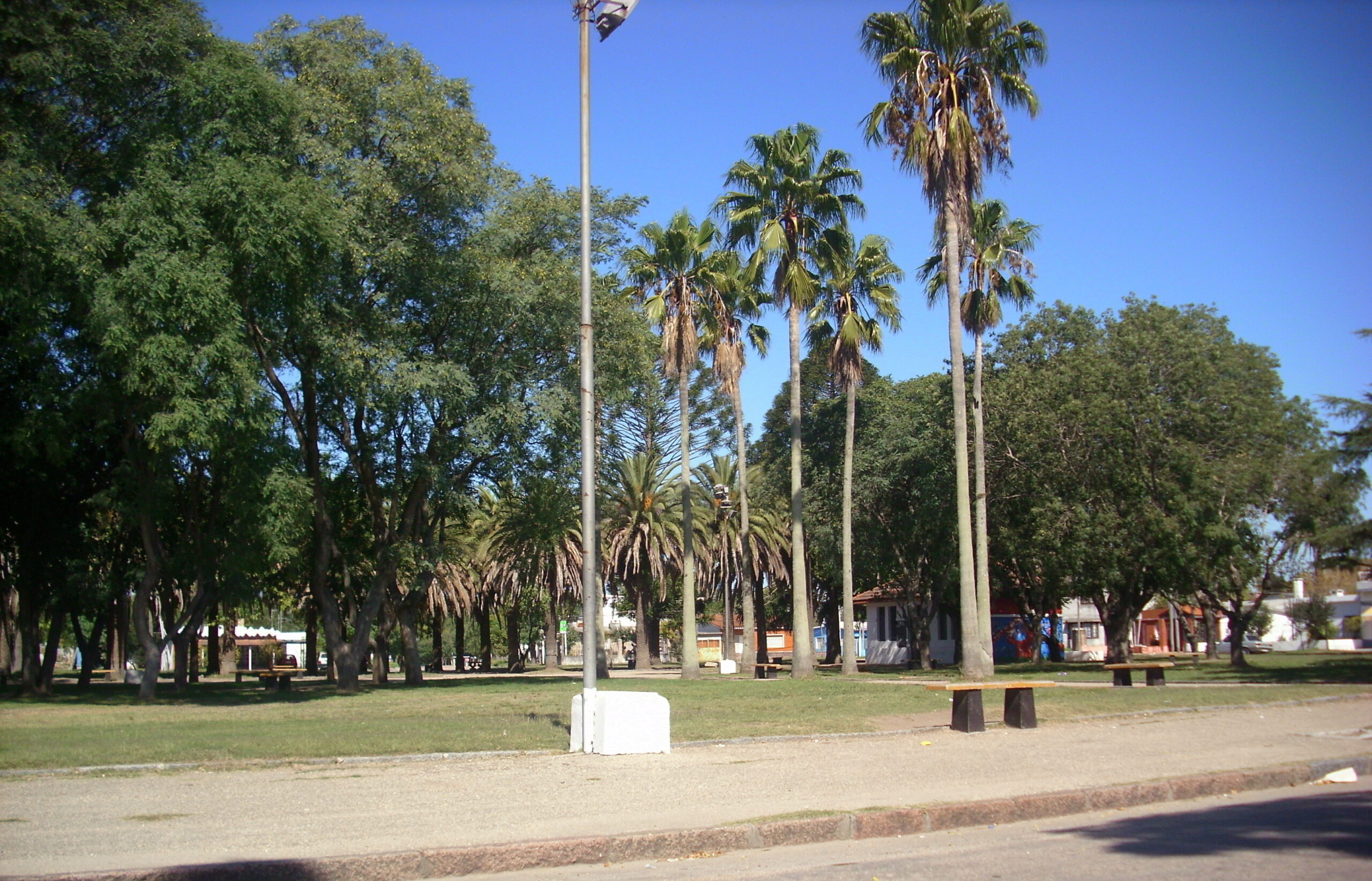 Fondo