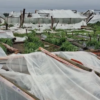 Gobierno analiza asistencia para productores de Salto afectados por el temporal