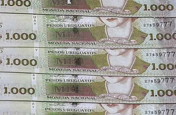 Fondo