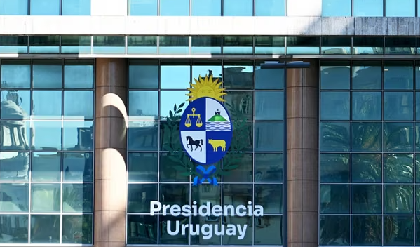 Fondo